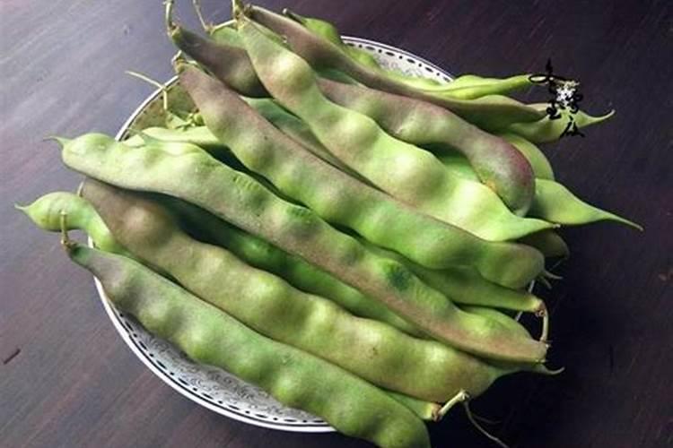 油豆角栽培技术