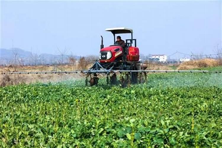 常见的磷肥,要怎么样合理施肥才能提高利用率呢？