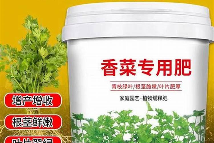 叶面肥哪个好