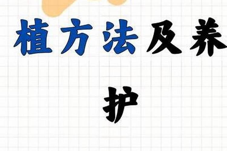 钾肥和硼肥膨大果实适宜比例是多少