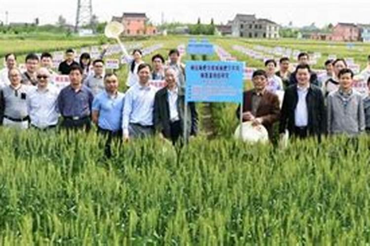 涨价预警!氮、磷、钾肥都涨价了,涨多少？鉴别假化肥的4个方法