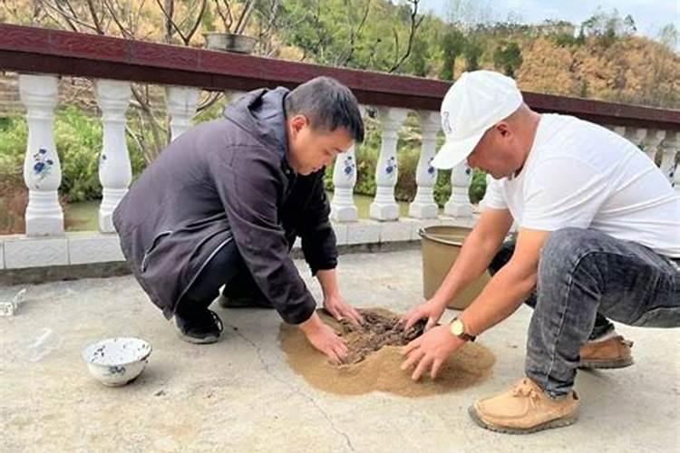 黄芩用什么除草剂