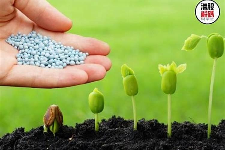 化肥有没有保质期？时间久了会不会失效？看了这个就知道!