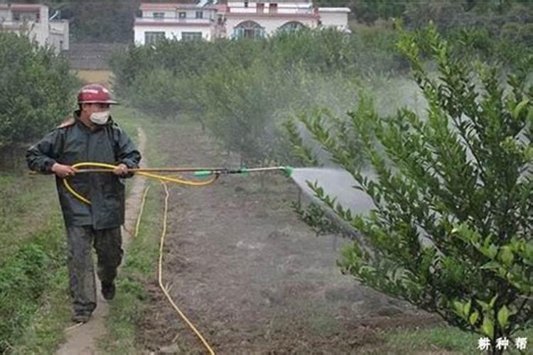 磷肥和钾肥能一起用吗