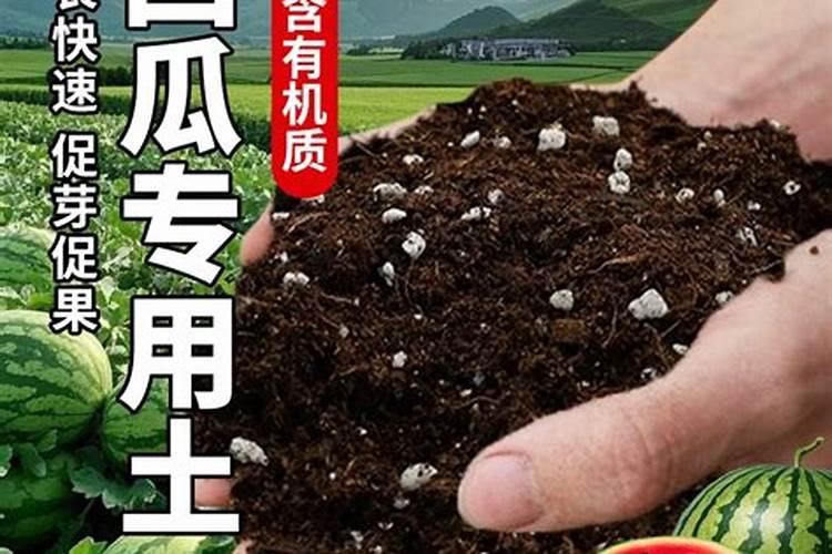 硅钙镁元素肥对土壤有什么好处？