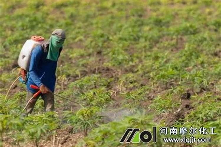 有效果的钾肥推荐什么？