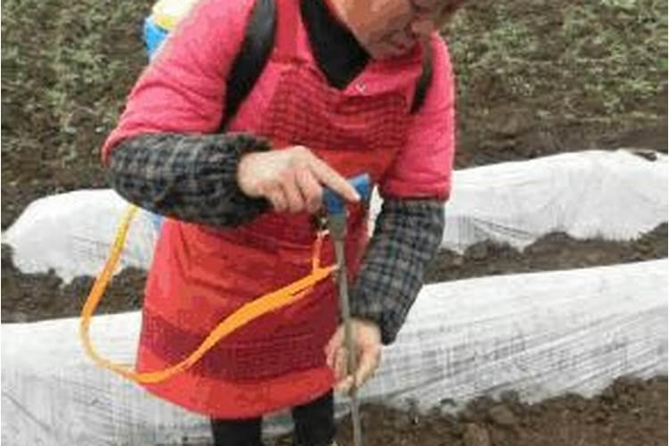 施肥注意事项和方法 施肥的时候要注意的地方