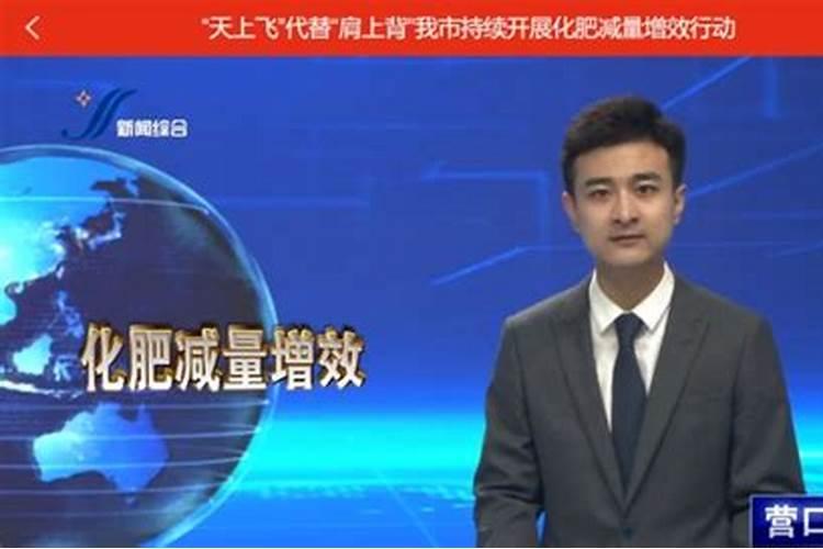 一亩大棚西红柿一年利润