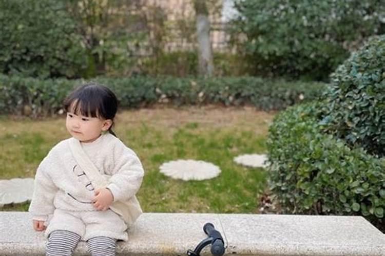 雅然肥料多少钱一袋