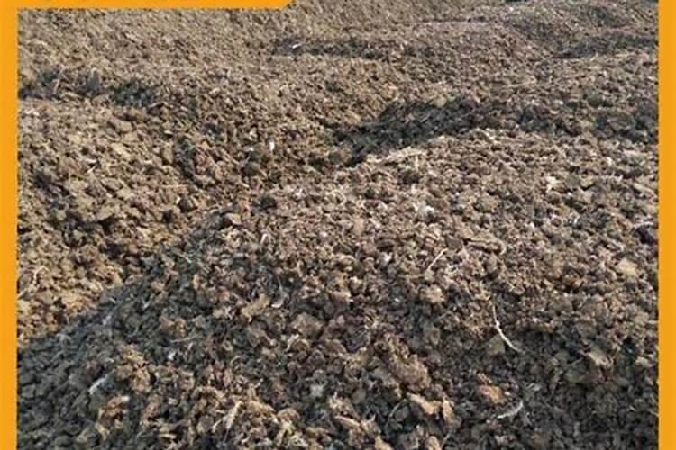 中国含硒最多的地方