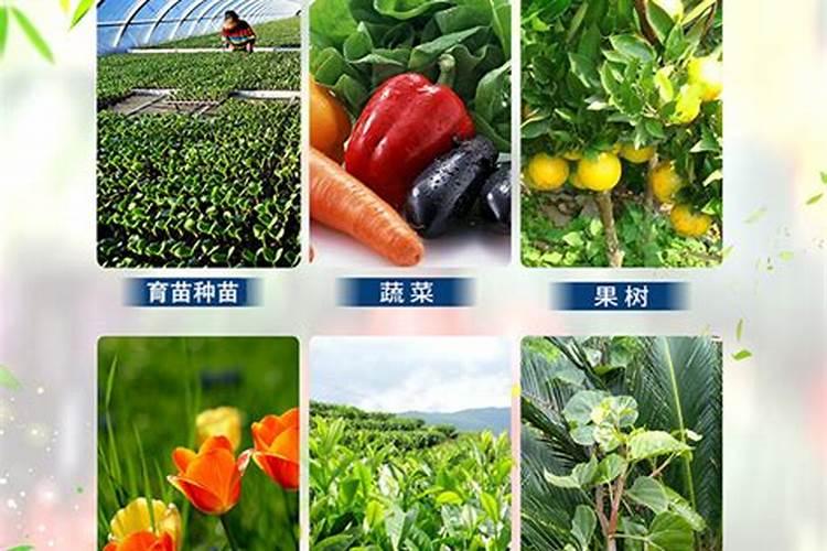 鄂尔多斯市苏里格有机农业有限责任公司怎么样？