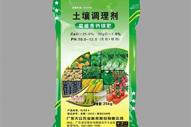 罗汉松老枝扦插生根最快方法