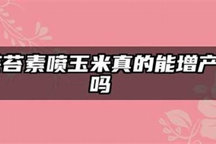 桔子树盆栽用什么肥料