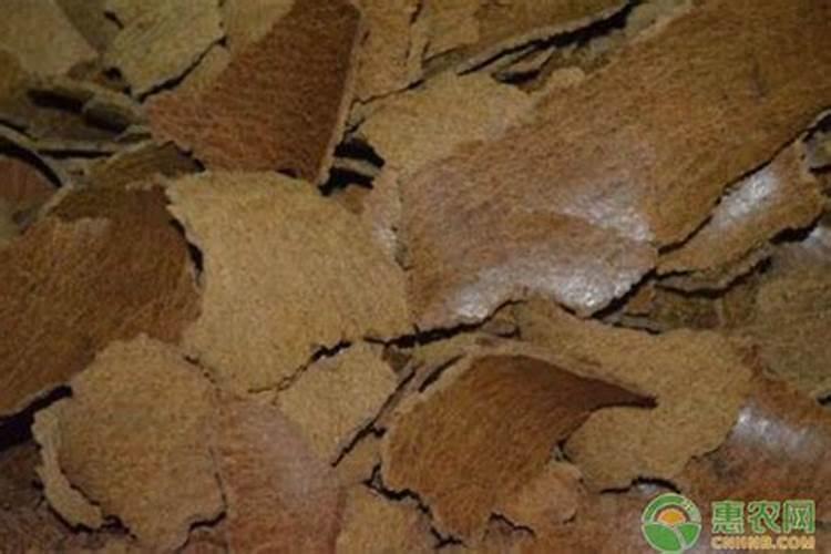 大棚里面的罗汉果苗几天施肥一次需要施什么肥？