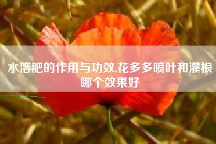 种花需要肥料,请问什么是磷肥、什么是氮肥、什么是钾肥？