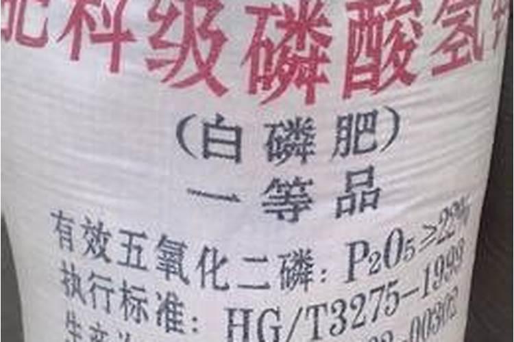 磷是什么
