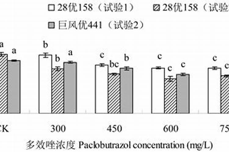 多效唑与叶面肥能混用吗