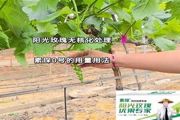 果园施肥方法与注意事项 关于果园施肥方法与注意事项