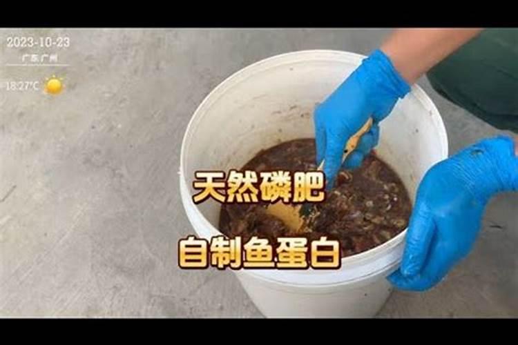 最方便的磷钾肥制作方法