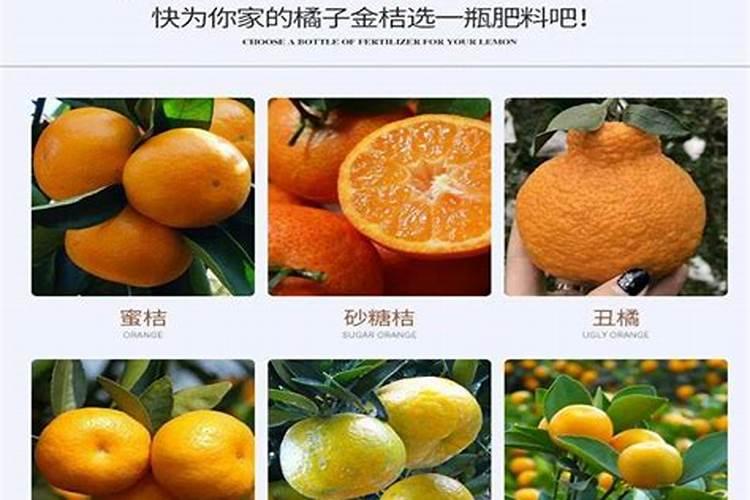 小麦底肥用二铵多少合适