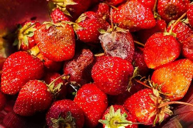 水溶肥价格多少钱一吨