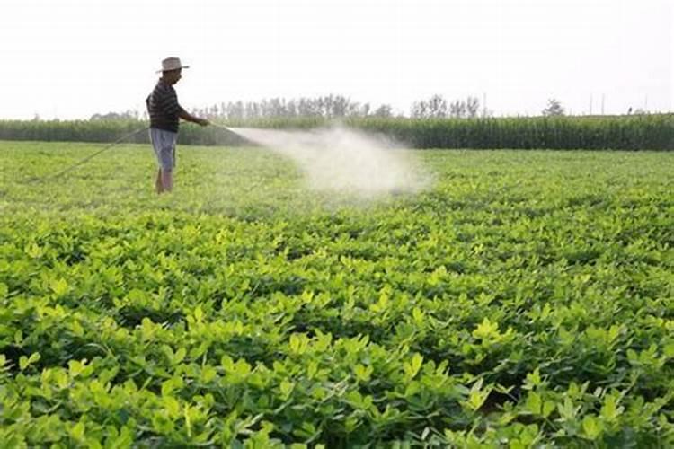 复合肥氮肥钾肥磷肥区别是什么