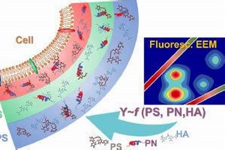微生物菌肥含什么？