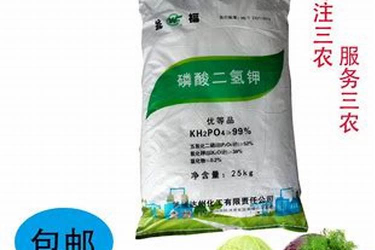 “龟背竹”冬日叶子发蔫,用“它”兑清水,稀释后喷叶片,几天就变油...