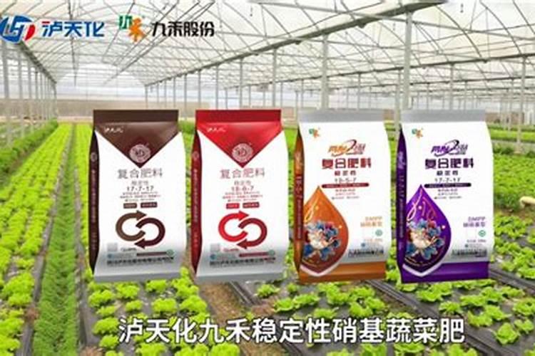 施什么肥才能让才能让三角梅花开的艳丽