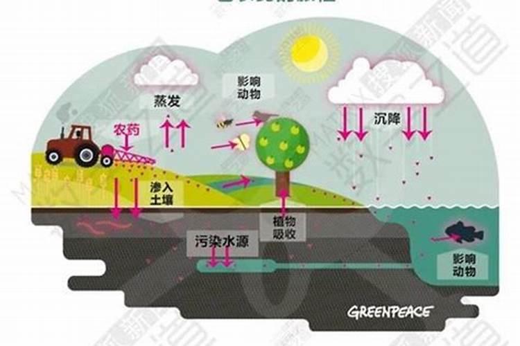 花生米埋土可做肥料吗