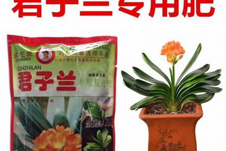 如何提高氮磷肥的肥效