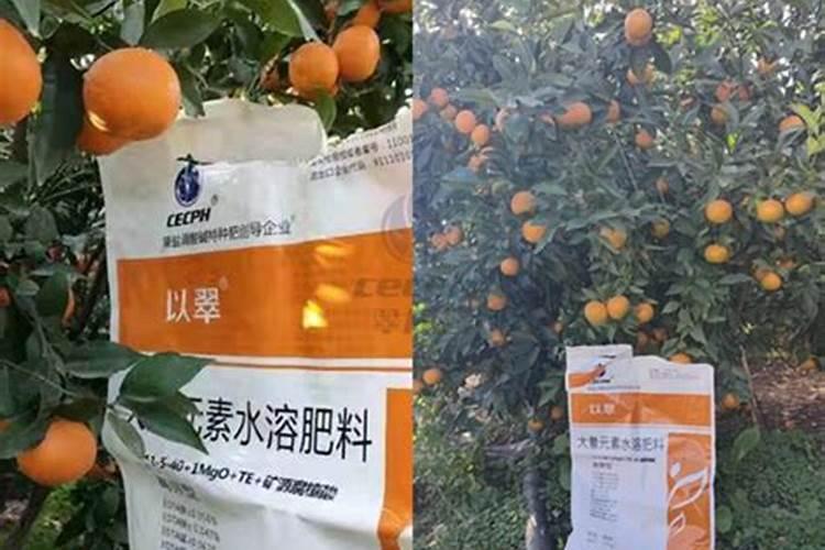 水果蔬菜需要哪些肥料