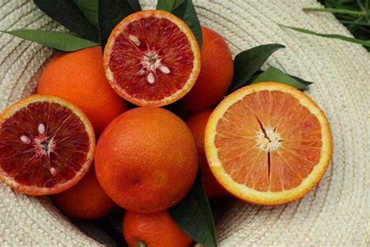 氮肥适合浇什么花