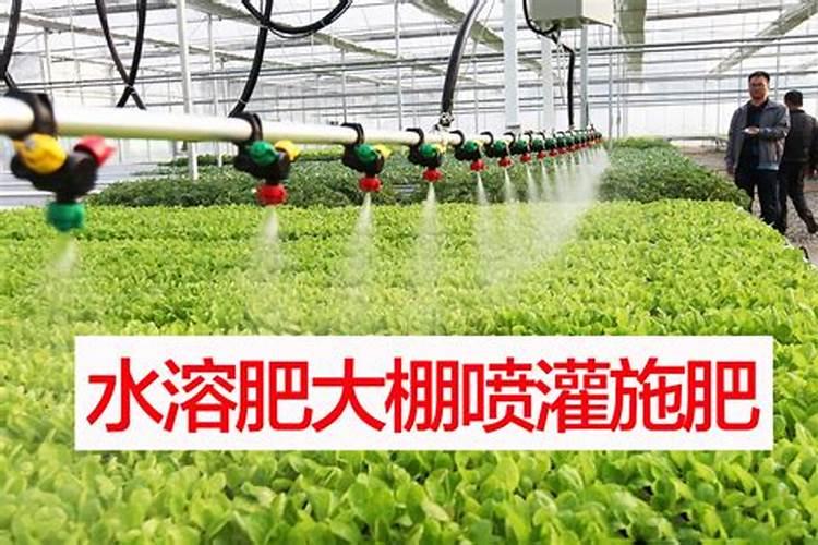 农家肥的发酵方法