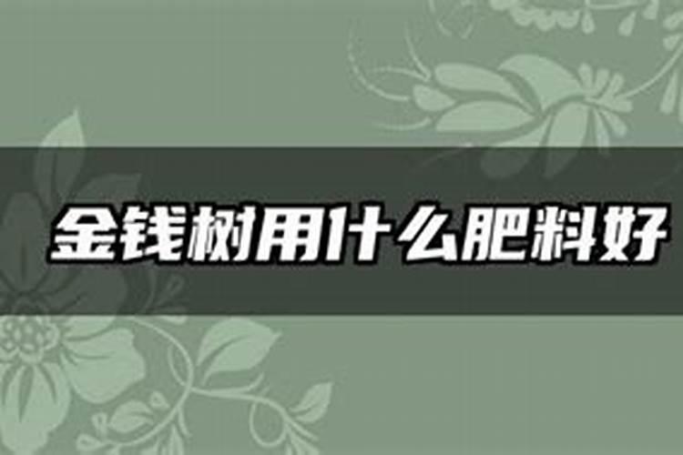 玉米控旺剂能和叶面肥一起用吗