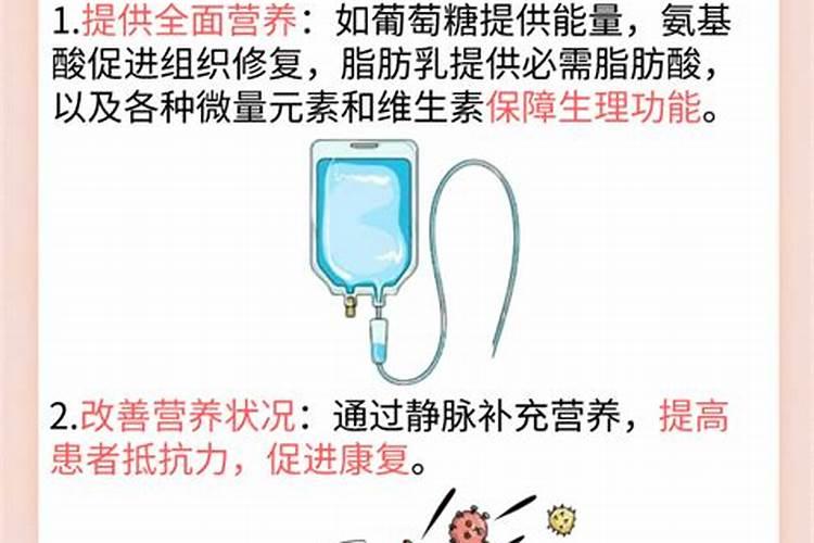 多肉用什么肥料最好