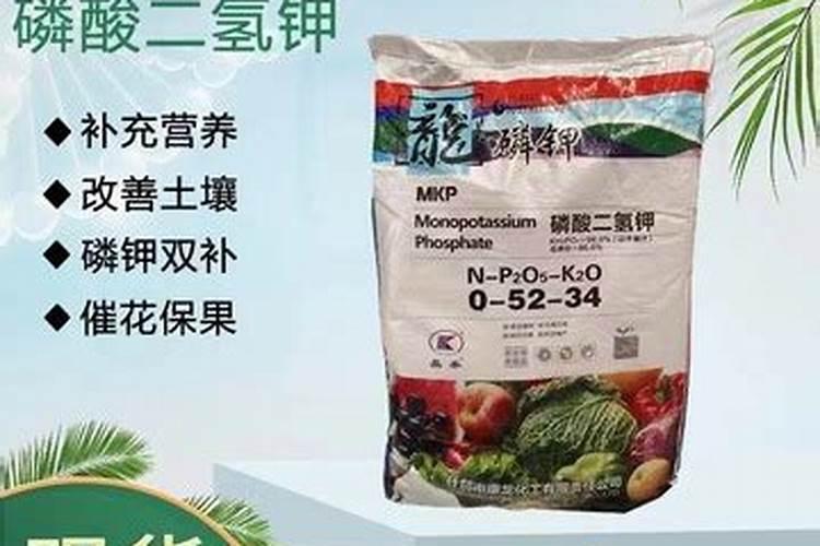 开花期间可以施肥吗