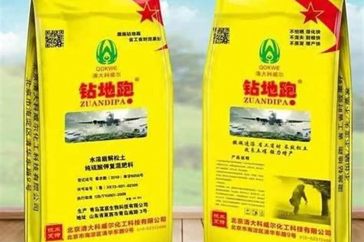 水晶梨苗价格多少钱一棵