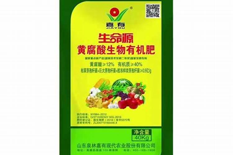 给花施肥的正确方法