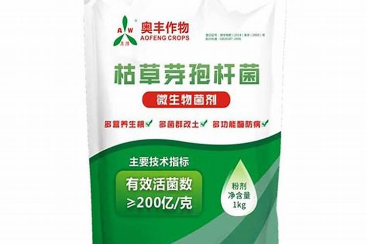 空心番茄是打了激素是真的吗？