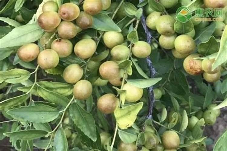 济南网红草坪每人收费10元,为何引发网友不满？