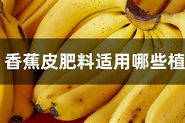 香蕉用什么肥料能快速生长
