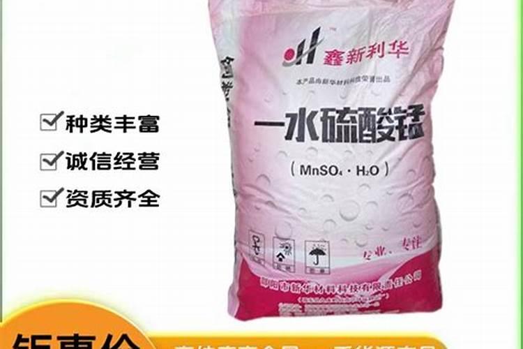 多肉植物喷药注意事项