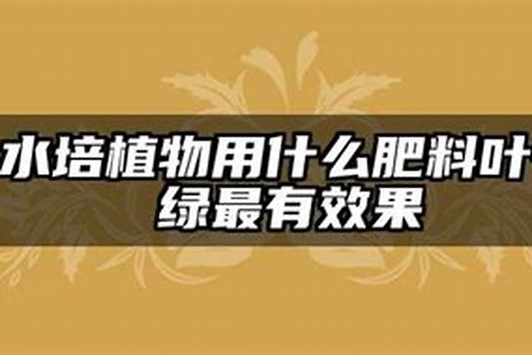 油菜饼加水泡多久才可以施肥 油菜饼加水泡今天才可以施肥