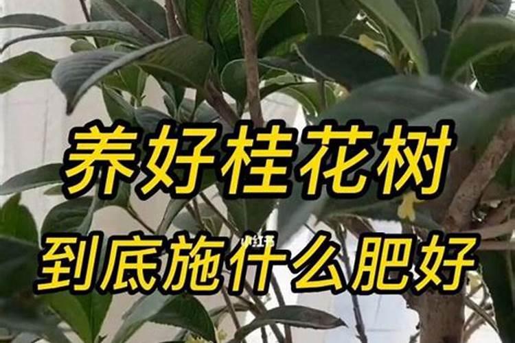 如何改善土壤的肥力