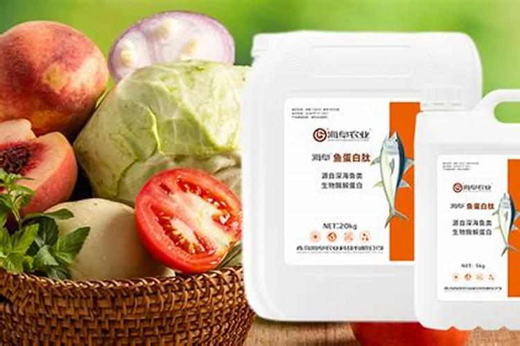 丝爪种植时间和方法