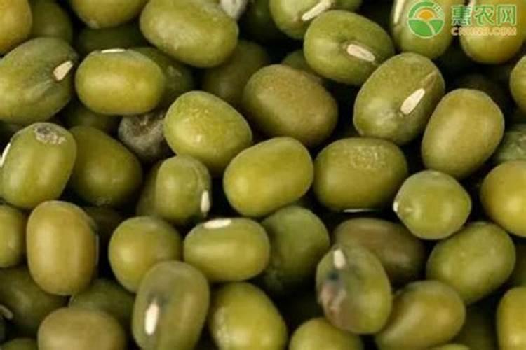 种植辣椒用什么底肥最好