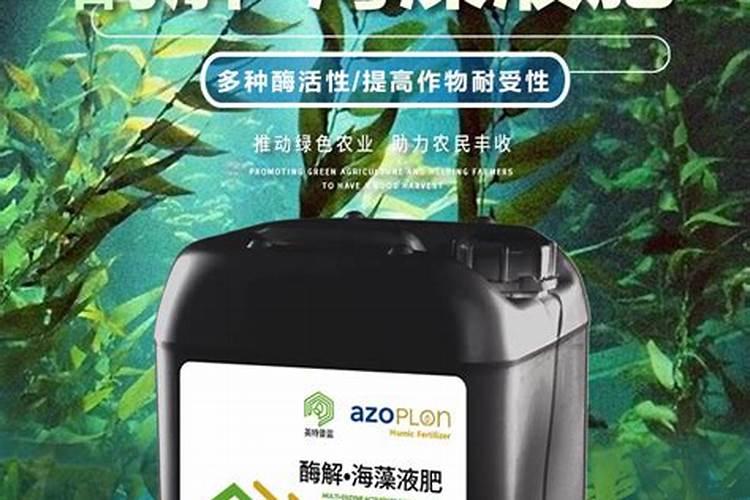 排名前十的微生物菌肥