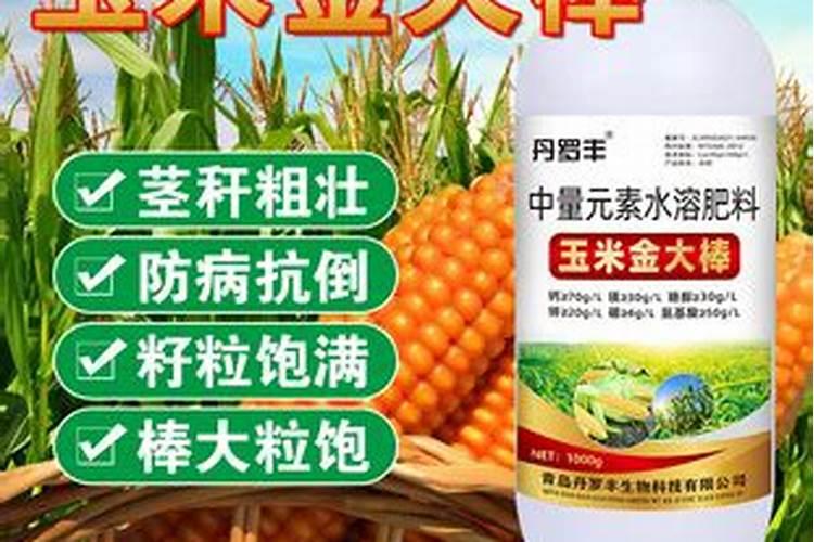 玉米金大棒叶面肥有效果吗
