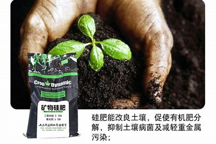 樱桃树水溶肥的使用方法